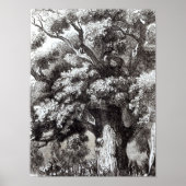 Poster Charles II caché dans le chêne (Devant)