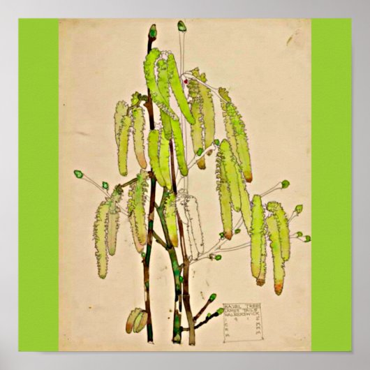 Poster--Charles Rennie Mackintosh 13 Poster (Voorkant)