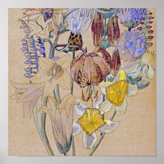 Poster Charles Rennie Mackintosh - Mont Louis - Fleur (Devant)