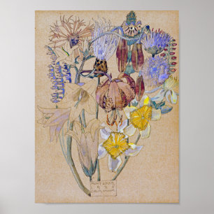 Poster Charles Rennie Mackintosh - Mont Louis - Fleur