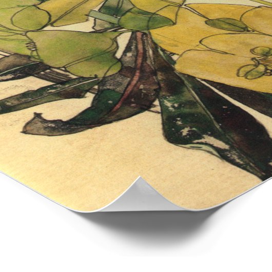 Poster Charles Rennie Mackintosh - Spurge With Yham 1909 (Coin)