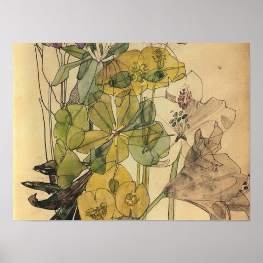 Poster Charles Rennie Mackintosh - Spurge With Yham 1909 (Devant)