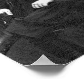 Poster Charles Rothschild (Coin)