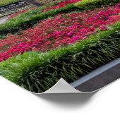 Poster Charleston, Caroline du Sud, États-Unis (Coin)