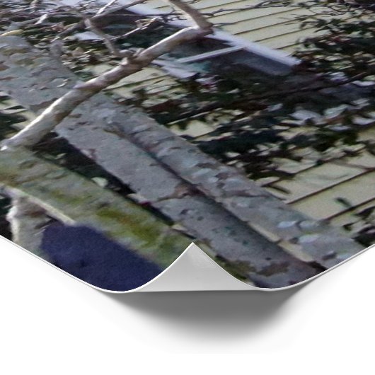 Poster Charleston historique, SC (Coin)