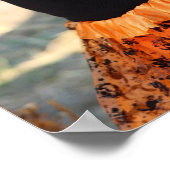 Poster Charlie Brown et Gang Halloween fête d'anniversair (Coin)