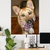 Poster Charmant berger allemand mignon chien avec Écharpe (Bureau à domicile)