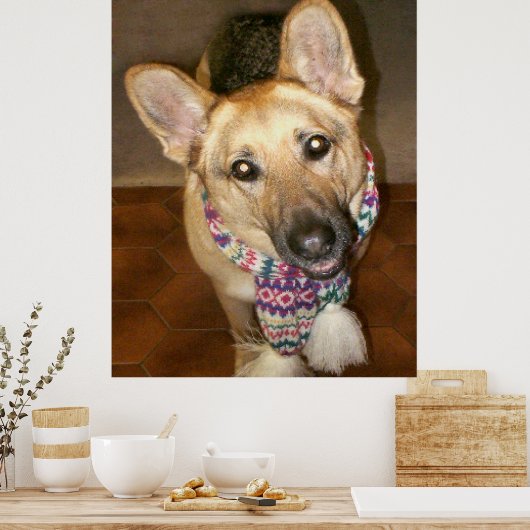 Poster Charmant berger allemand mignon chien avec Écharpe (Cuisine)
