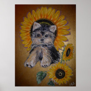 Poster Charmant petit chien et tournesols