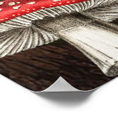 Poster Charmante nature rustique boisée inspirée (Coin)