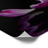 Poster Charme des tulipes roses (Coin)