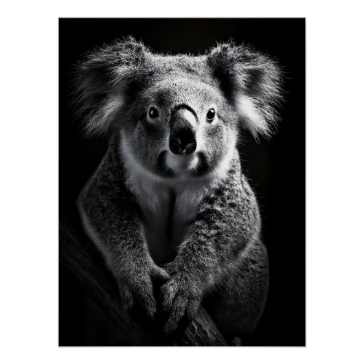 Poster Charming Black & White Koala Fine Art Print | (Devant)