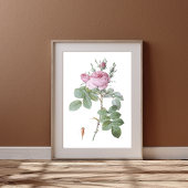 Poster Charming Rose Botanique Art Imprimer