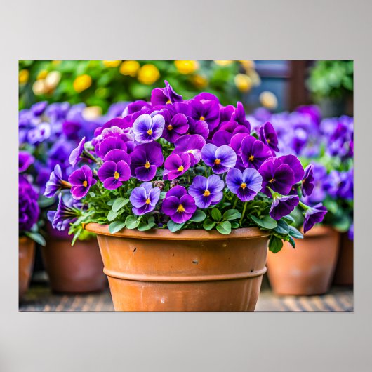 Poster Charming violet flower pot (Devant)