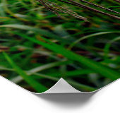 Poster Chars de pêche en verre accrochés à la corde (Coin)