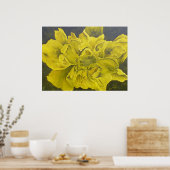 Poster Chartreuse Green Peony (Cuisine)