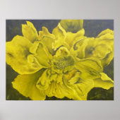 Poster Chartreuse Green Peony (Devant)