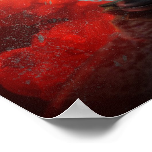 Poster Charu-Havoc des âmes (Coin)