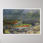 Poster Chasing Rainbows (Devant)