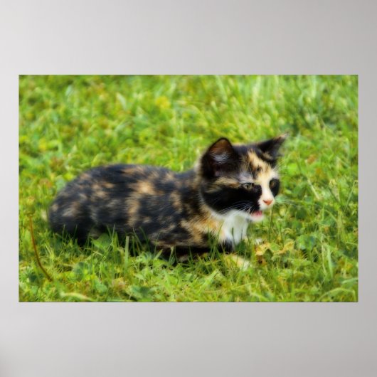 Poster Chasse (Devant)