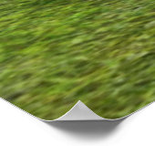 Poster Chasse à la lionne (Coin)