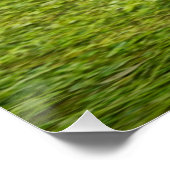 Poster Chasse à la lionne (Coin)