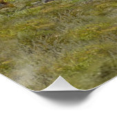 Poster Chasse à la perdrix de Chukar (Coin)