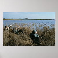 Chasse à la sauvagine