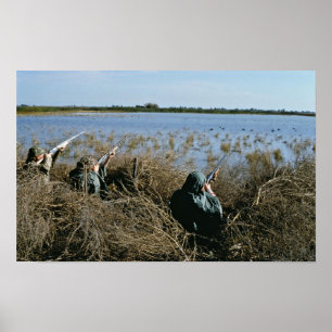 Poster Chasse à oiseaux aquatiques