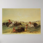 Poster Chasse au bison (Devant)