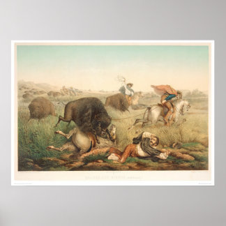 Poster Chasse au bison (0008A)