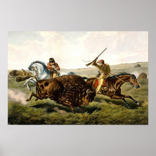 Poster Chasse au bison aux États-Unis (Devant)