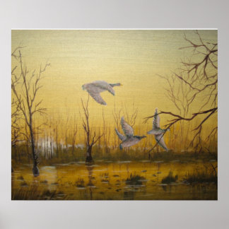 Poster Chasse au canard