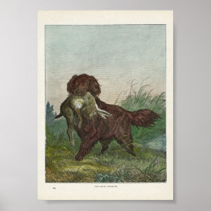 Poster Chasse au chien par les resquilleurs