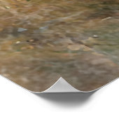 Poster Chasse au faisan avec un Poudelpointers (Coin)