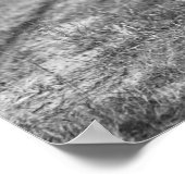 Poster Chasse au lapin, 1908. Photo vintage (Coin)