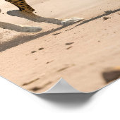 Poster chasse aux chiens sauvages africains (Coin)