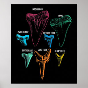 Poster Chasse aux dents de requin - Cadeaux de requin fou