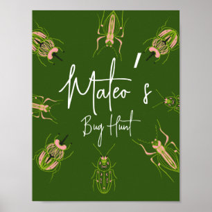 Poster Chasse aux insectes Anniversaire dessinés à la mai