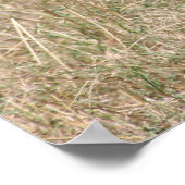 Poster chasse aux lions (Coin)