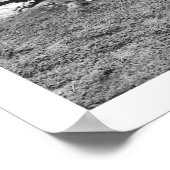 Poster Chasse aux ours Alaska 1906 (Coin)