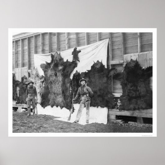 Poster Chasse aux ours Alaska 1906 (Devant)