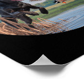 Poster Chasse Black Labrador Lab Chasse aux canards. Oise (Coin)