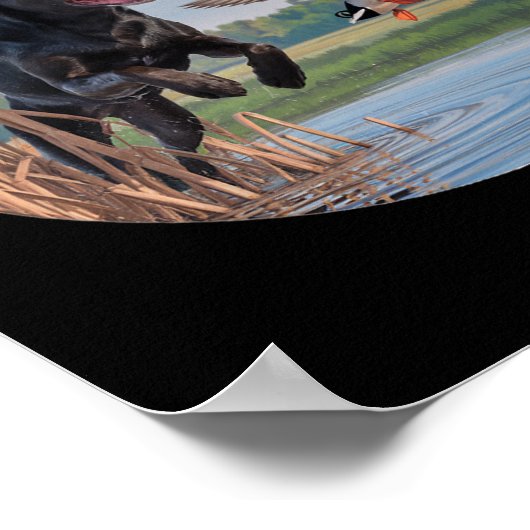 Poster Chasse Black Labrador Lab Chasse aux canards. Oise (Coin)
