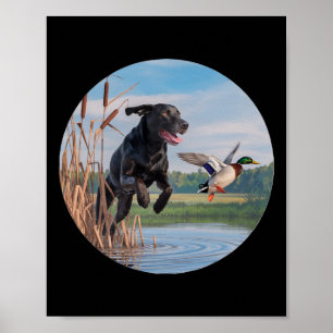 Poster Chasse Black Labrador Lab Chasse aux canards. Oise