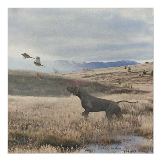 Poster Chasse de caille de pointer germanique, Art (Devant)
