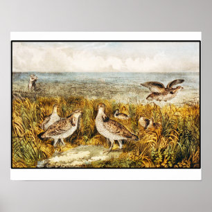 Poster Chasse de cailles - beaux-arts vintages