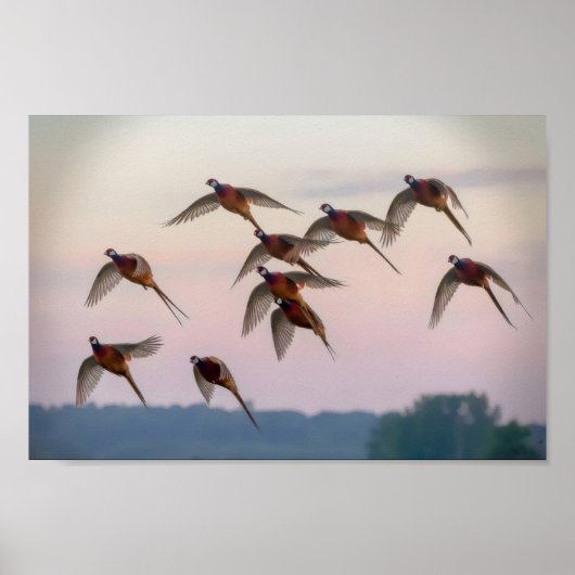 Poster Chasse début de saison chasseur de primes (Devant)