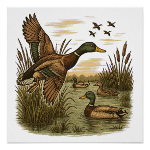 Poster Chasse-Rétro-Volant-Caner-Colvert