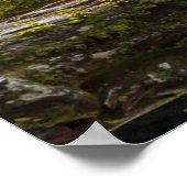 Poster Chasses aux ours de l'Esprit Blanc (Coin)